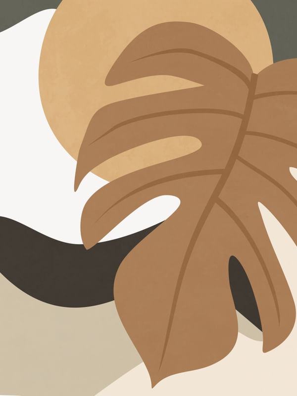 ORGANIC SHAPES II