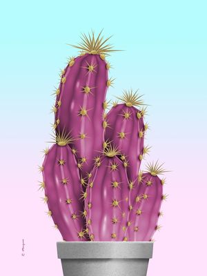 CACTUS - PINK AND BLUE
