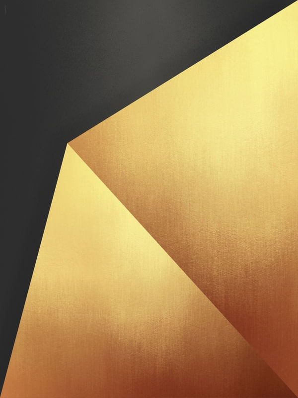 GOLDEN PLIER