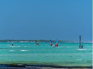 WINDSURF NO CARIBE