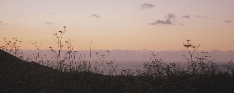 SUNSET VIEW