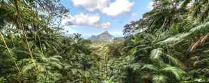 FLORESTA DA TIJUCA - PANORÂMICA