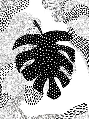 MATO NEGRO Nº2