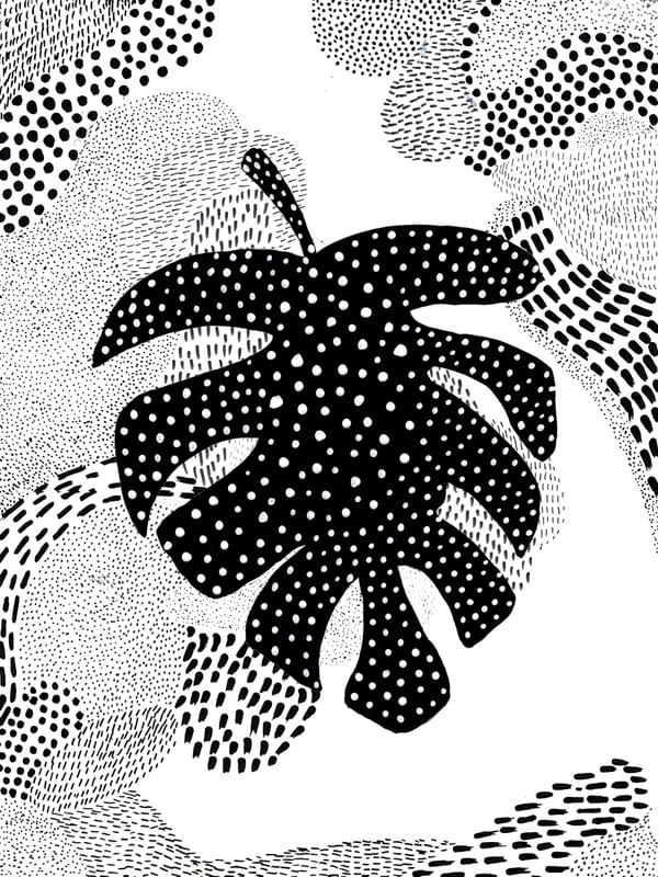 MATO NEGRO Nº2