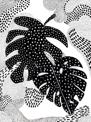 MATO NEGRO Nº4