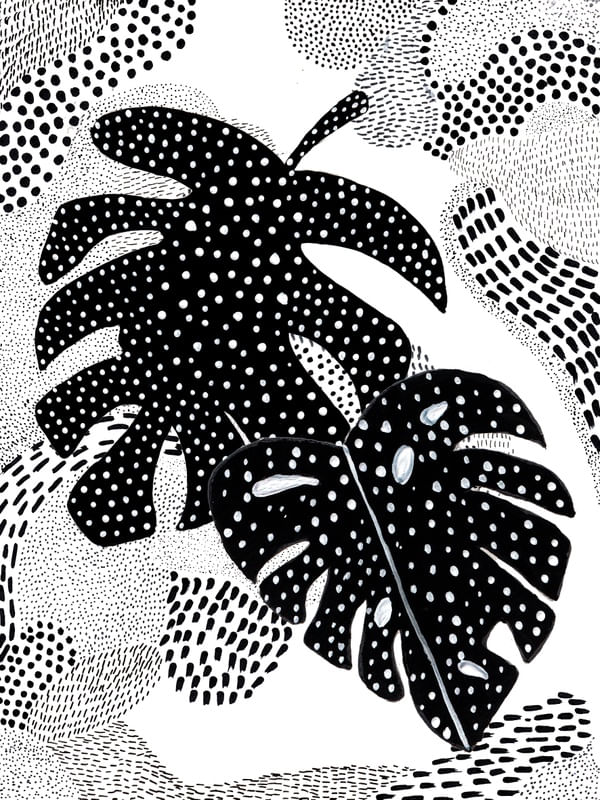 MATO NEGRO Nº4
