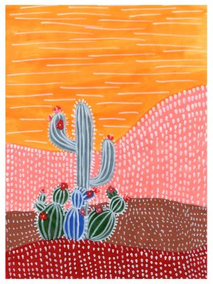 CACTI Nº2