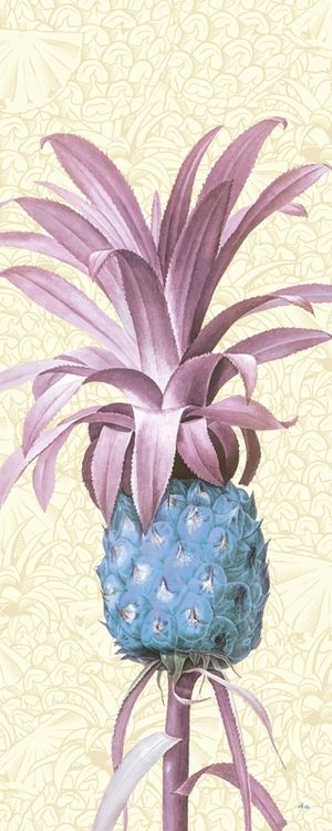 ABACAXI TROPICAL 2