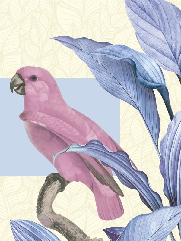 PÁSSARO TROPICAL 3