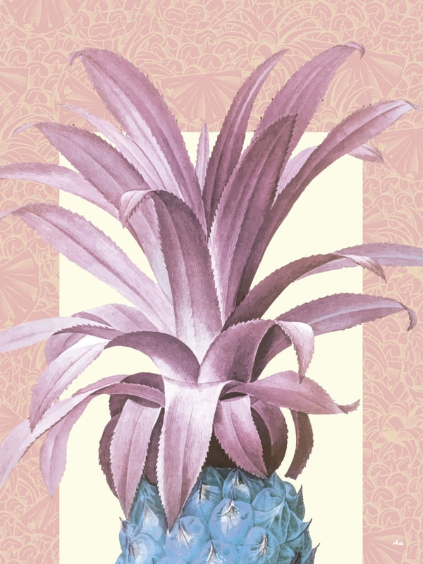 ABACAXI TROPICAL 4