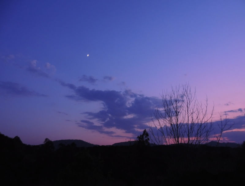 AMANHECER FRIO