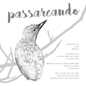 PASSAREANDO POESIA