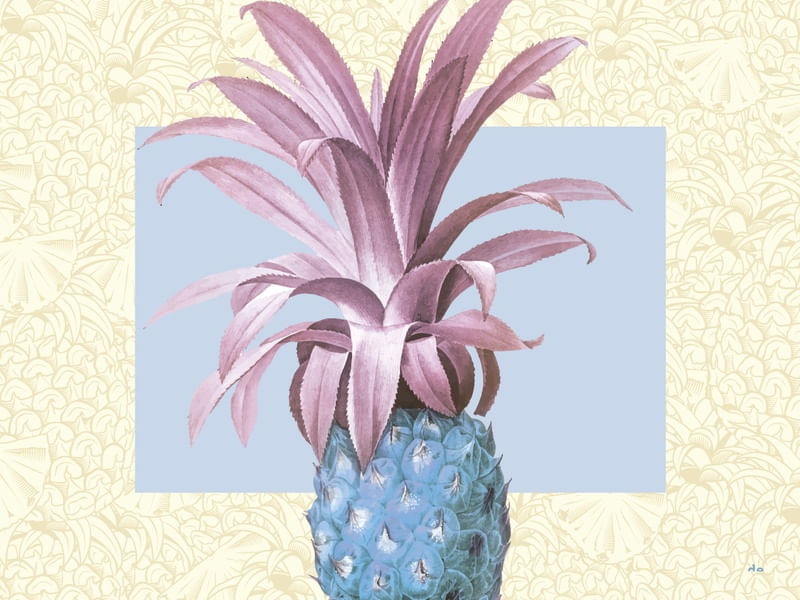 ABACAXI TROPICAL 1
