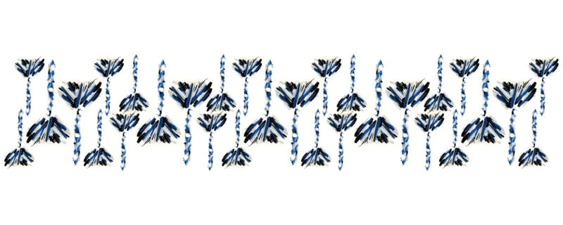 DETALHE DO PAVÃO