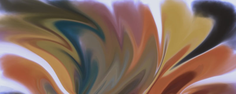 D. CURVES 04