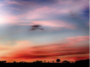 ENTARDECERES 5
