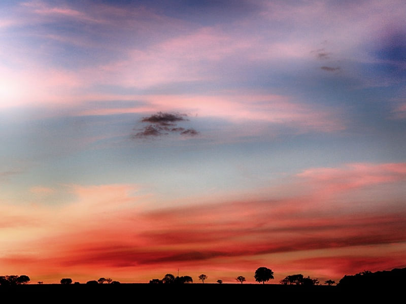 ENTARDECERES 5