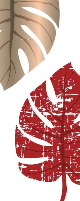 LEAF GEO 2