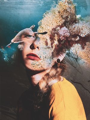 GIRL AND THE MARINE LIFE