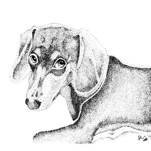 LUNA DOG II