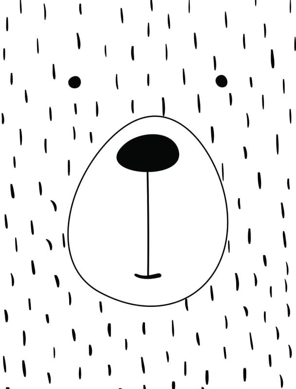 URSO FLORESTA