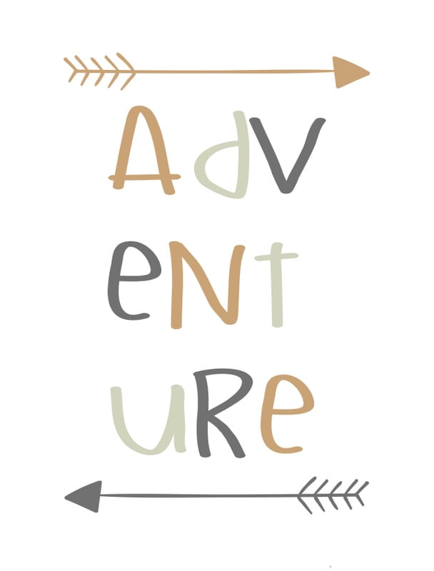 ADVENTURE FLECHAS