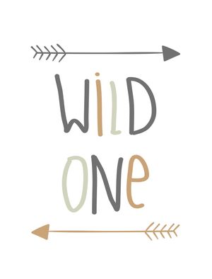 WILD ONE FLECHAS
