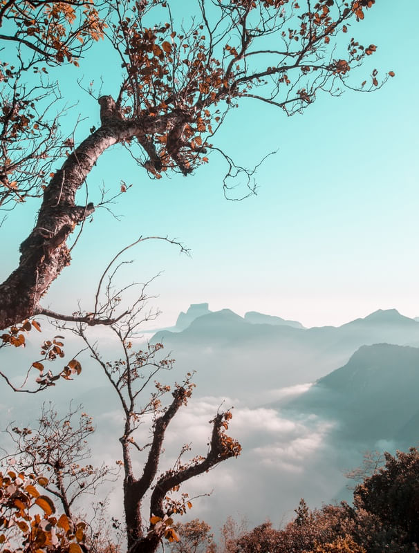 SOBRE AS NUVENS