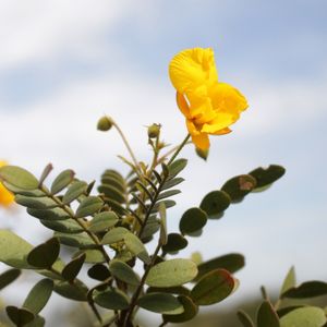 NATURI 21