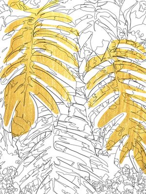 DOURADO 10 - DV