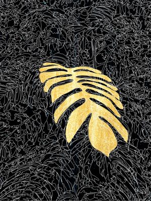 DOURADO 13 - DV