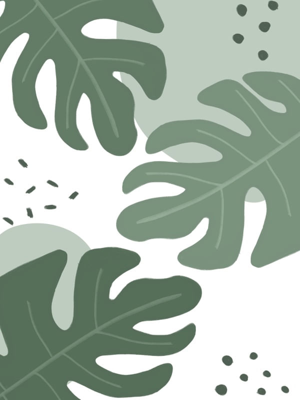 NATUREZA FPA 02