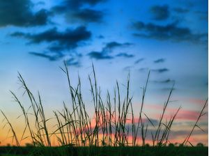 ENTARDECERES 7