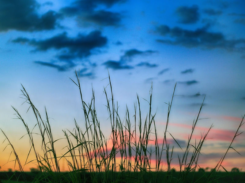 ENTARDECERES 7