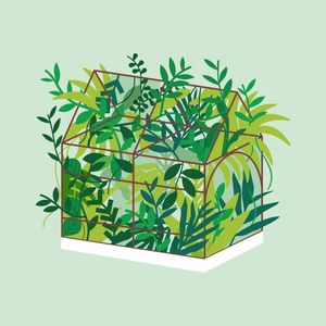 GREENHOUSE