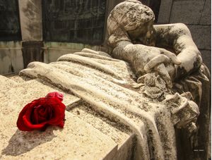 ESTÁTUA E ROSA VERMELHA NA RECOLETA