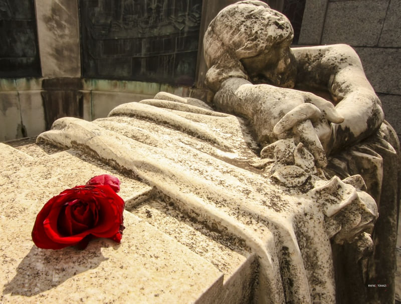 ESTÁTUA E ROSA VERMELHA NA RECOLETA