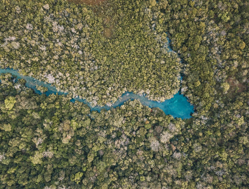 RIO FORMOSO