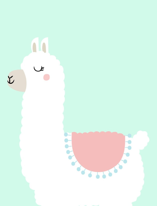 LHAMA CUTE 02