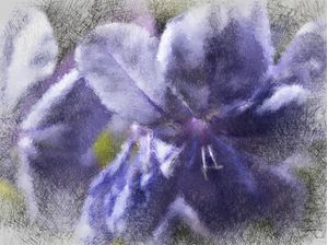 FLOR ROXA 02