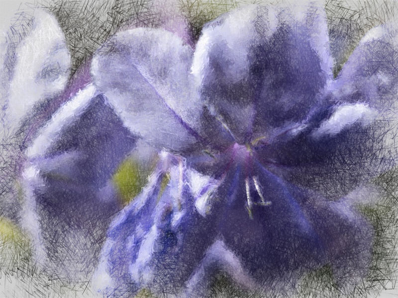 FLOR ROXA 02