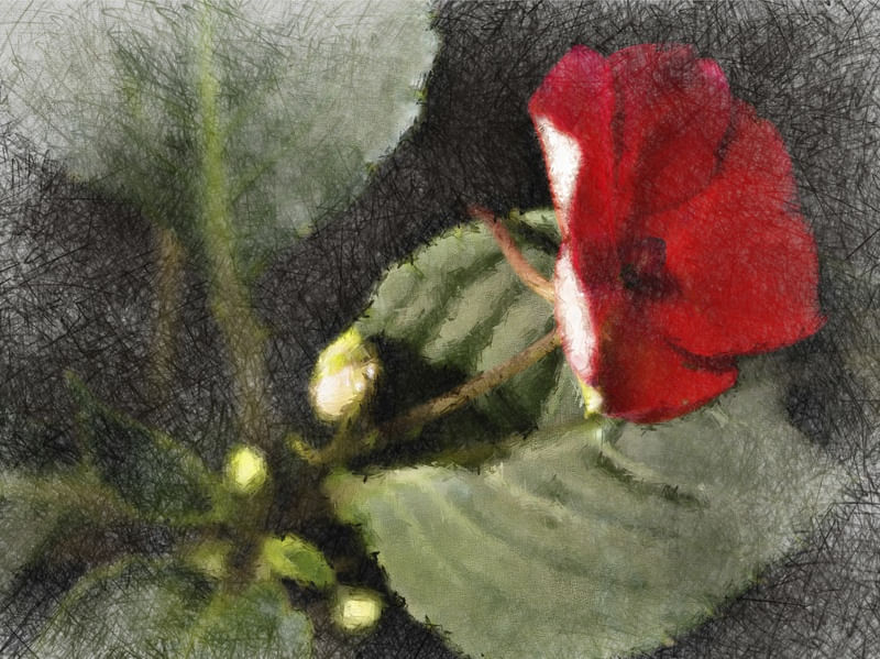 FLOR VERMELHA EM PINCEL 2