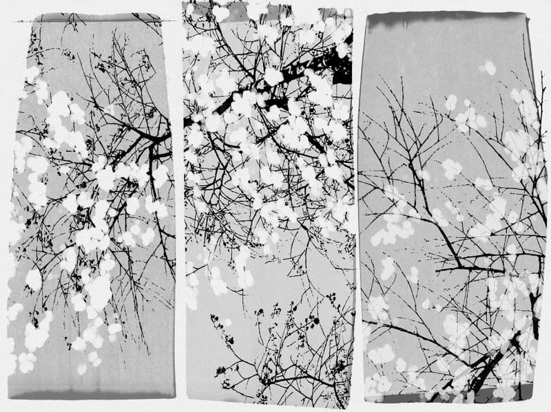 ORIENTAL BLOSSOM