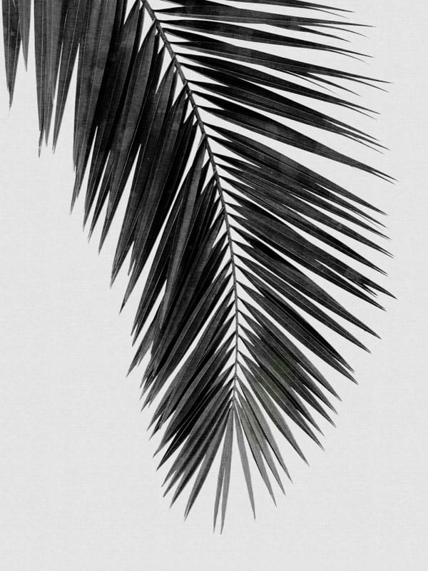 PALM LEAF BLACK & WHITE I