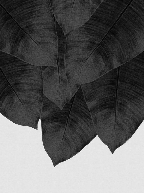 BANANA LEAF BLACK & WHITE III