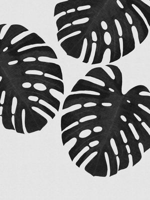 MONSTERA LEAF BLACK & WHITE III