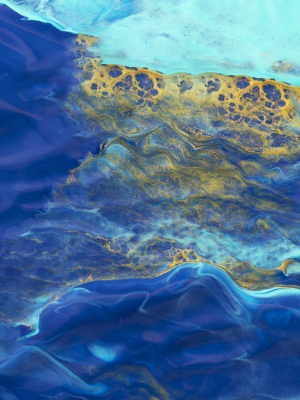 TONS DE AZUL E DOURADO (5)