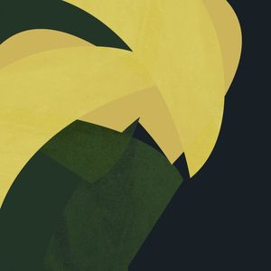FOLHAGEM VERDE E AMARELA BRASIL