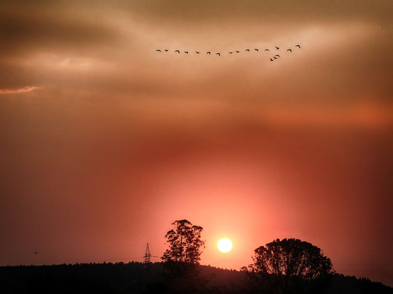 ENTARDECERES 9