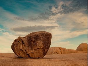 O EQUILIBRIO NA NATUREZA